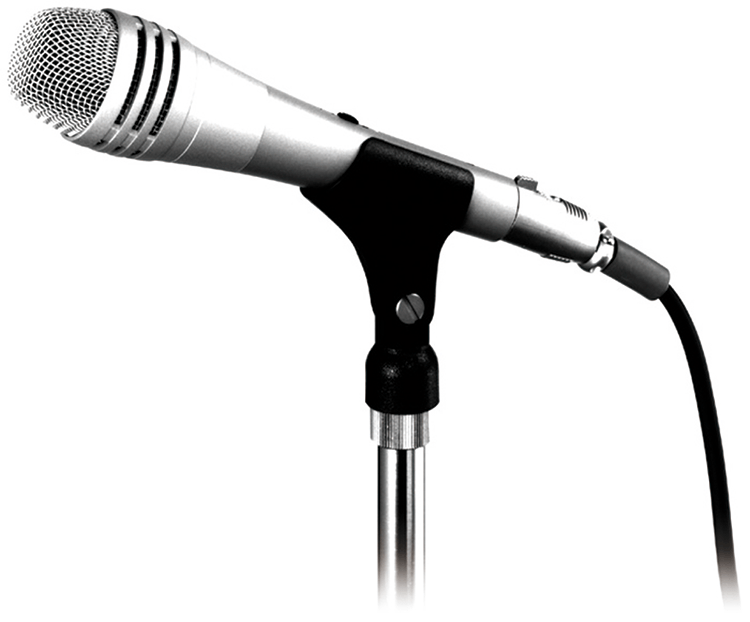 DM-1500 Unidirectional Microphone